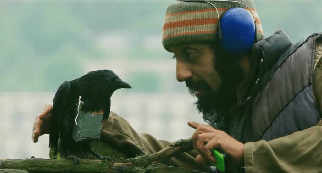 REVIEW: Four Lions&nbsp;(2010)