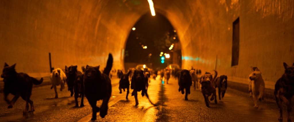 Favourites of the 2010s:&nbsp;#250-226