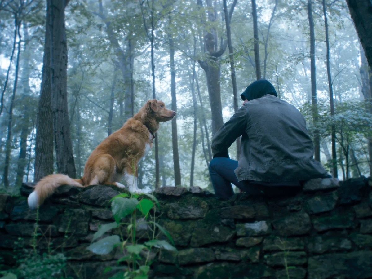 REVIEW: Good Boy&nbsp;(2025)