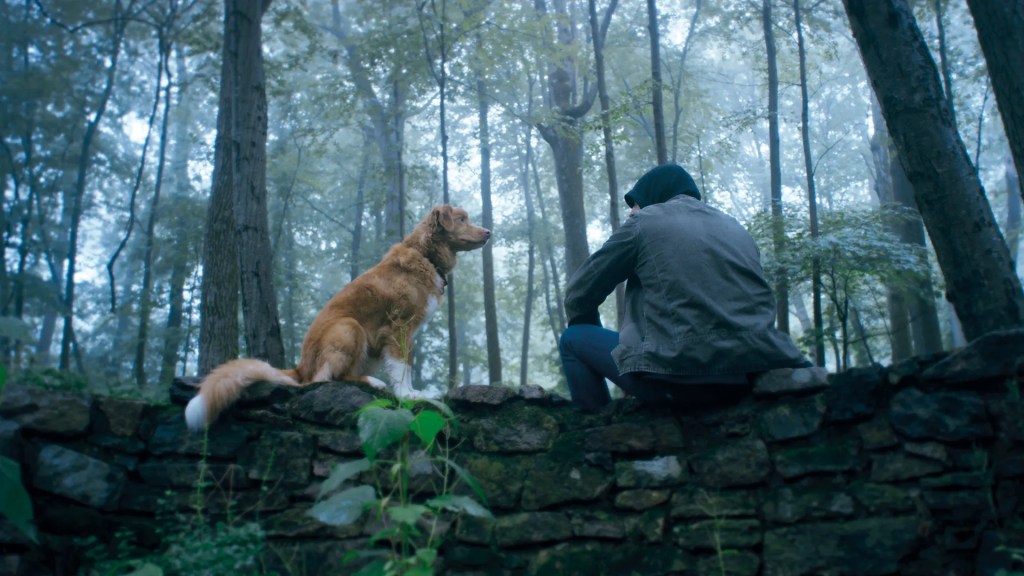 REVIEW: Good Boy&nbsp;(2025)